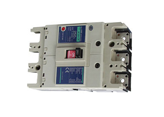 Economic Small Earth Leakage Circuit Breaker Molded Case Plastic NF-CW